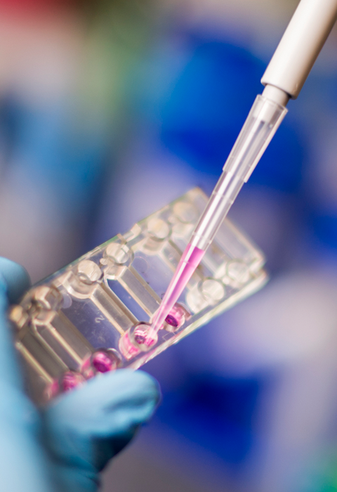 Plus One Bioengineering