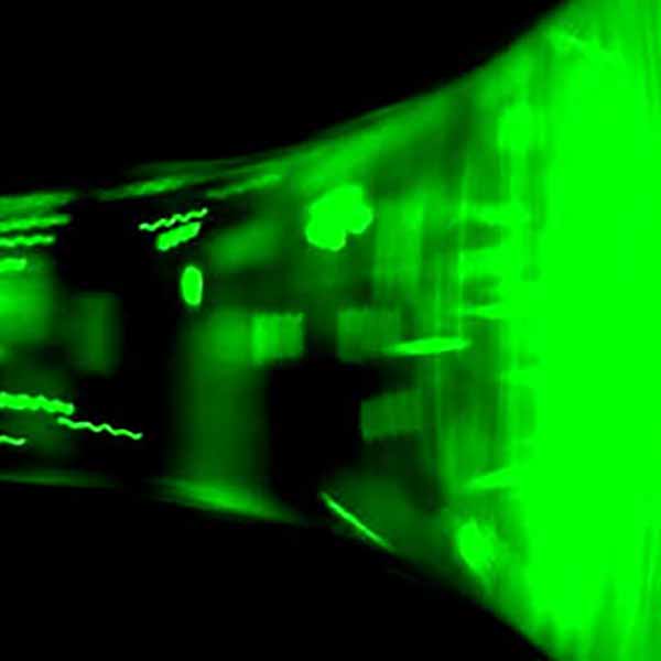 green and black molecular xray like image