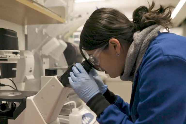 bioengineering student using microscope