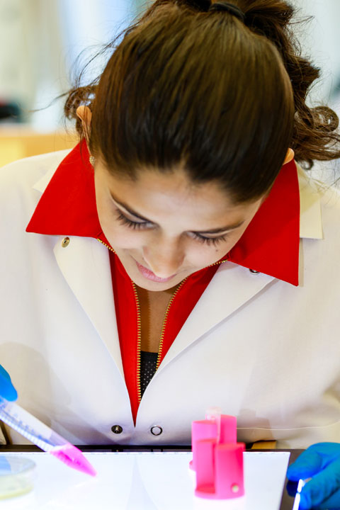 student in bioengineering lab doing research