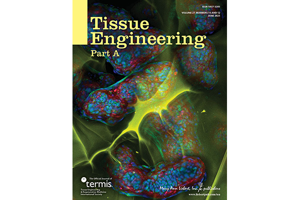 COE Research Featured on Cover of Tissue Engineering Part A