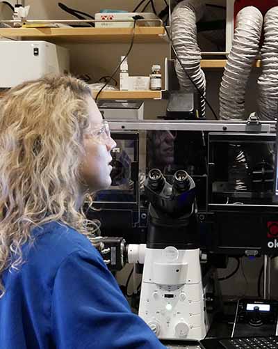 student reviews experiment on lab screen