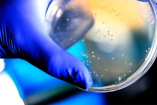 New Approaches to Treatment-Resistant Tumors